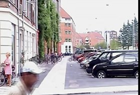 ホットベイビーアレッサンドラは、生きている像の巨大なペニスを立てます