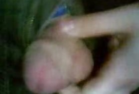 プチ若い護衛は大きな雄鶏に乗る