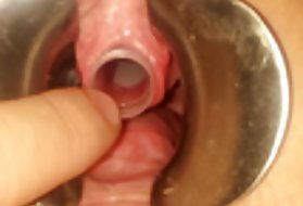 角質のヨーロッパ人はいつでもパーティーのときに立ち寄る準備ができています